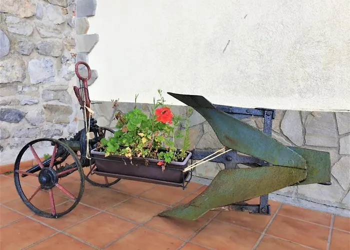 팜스테이 Arraspine 아스티가라가